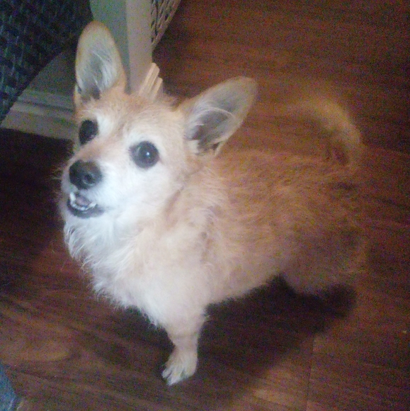 Meet your Posher, Katie - Picture 7 of 8